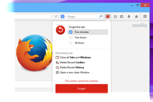 firefox-forget-delete-history-04