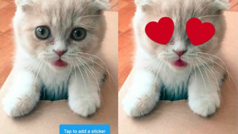 twitter-stickers-feature-2.0